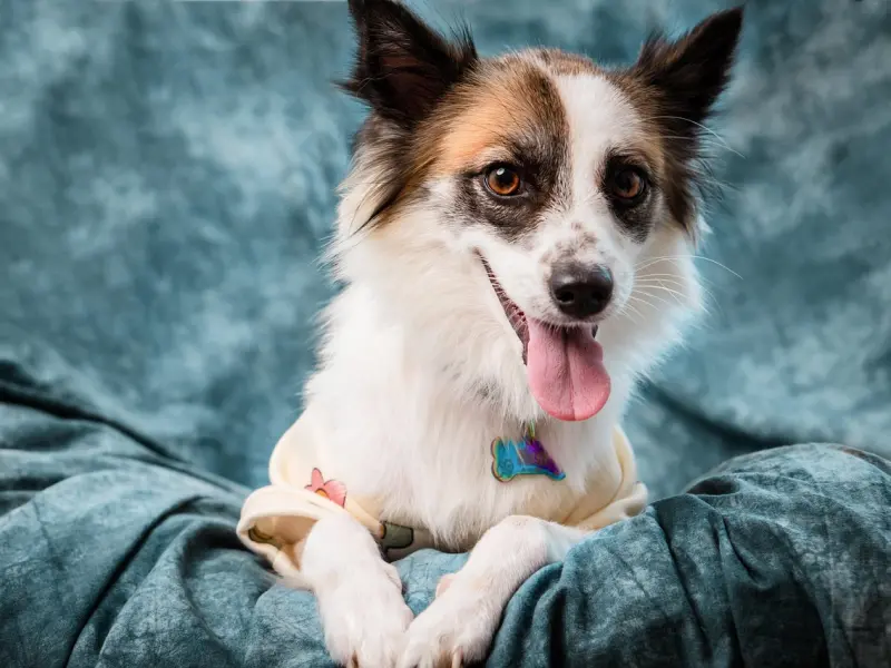 心声 | 为什么女生不能过度依赖男人？