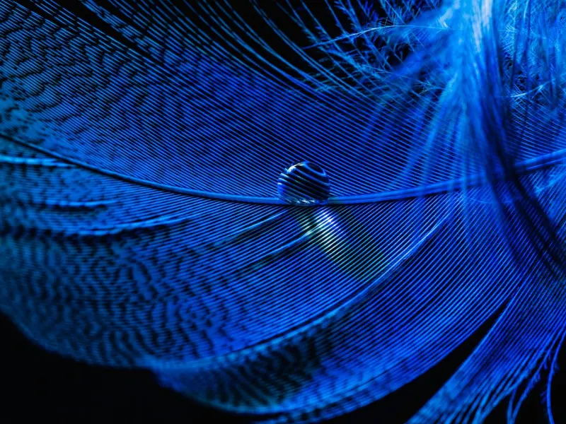 王力宏再生二胎，甜蜜爆表诉说爱情