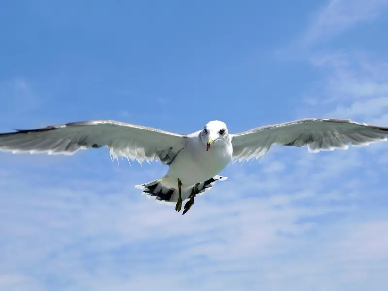 想要男人对你上瘾？你得学会这样做！