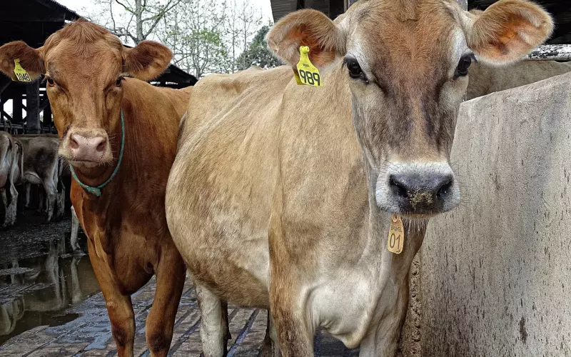 分手后想挽回？看看是否处于分手反弹期