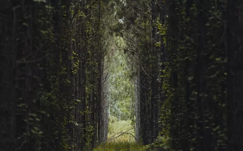 想要挽回曾经的爱情？先疗愈你的“爱情沉默症”吧！