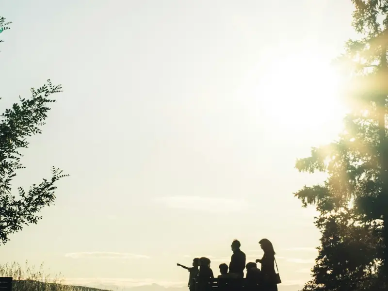 想要挽回我的女朋友：怎么挽回心累的女友?去挽回一个女的怎么样挽回