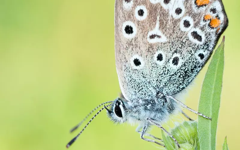 想挽回他？先做普通朋友吧