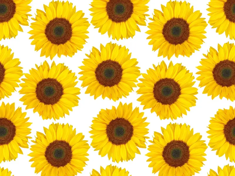 想挽回你的前女友？你只需要一条短信！