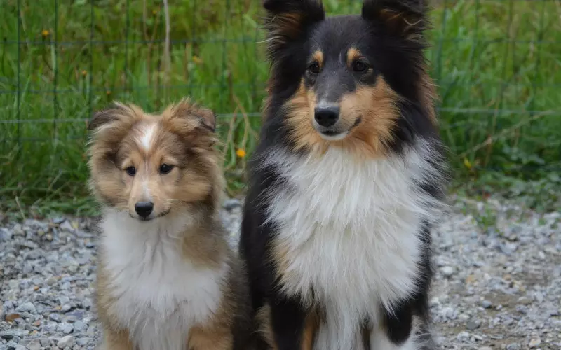 被他拉黑或不理你？三招提升80%复联成功率