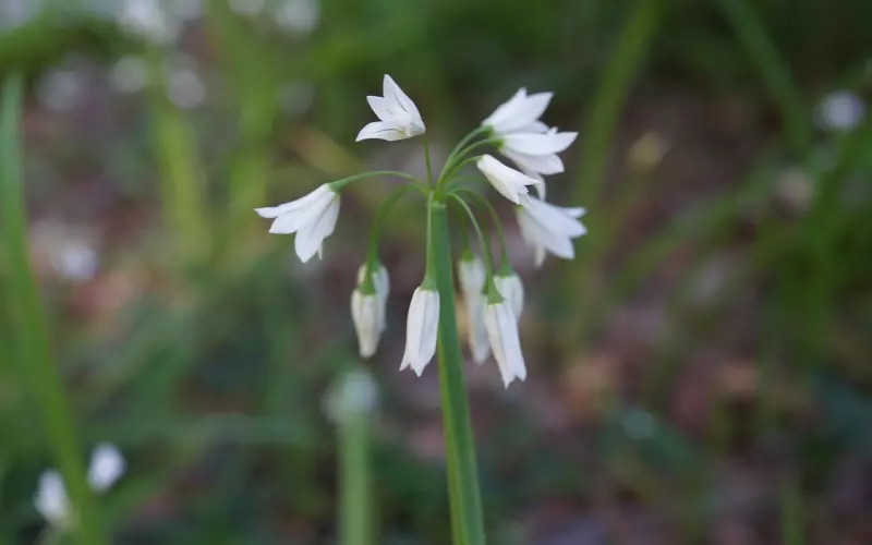 挽回女朋友途径：分手后挽回女友最简单的方法和技巧