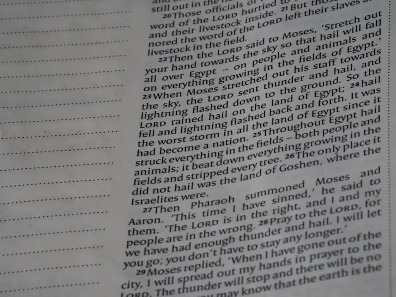 挽回婚姻的方法，如何挽回老公的心，教你几个高效挽回老公的方法