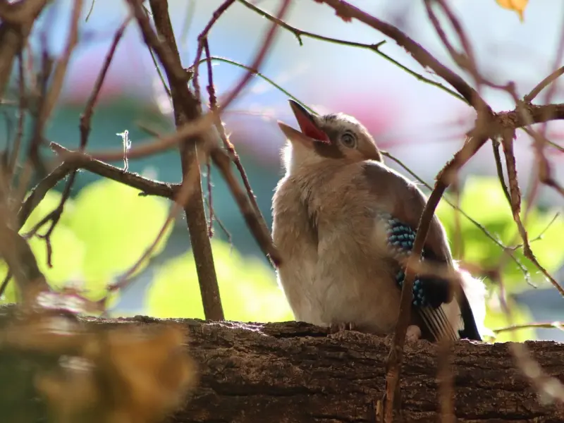 挽回婚姻的方法：老公出轨了怎么挽回，这三招让他主动求复合