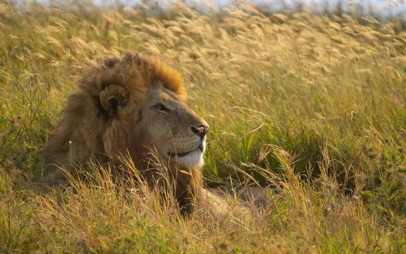 挽回感情的方法：挽回爱人五大招