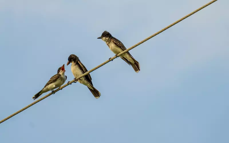 成功挽回金牛座男友的手段：3招必胜，男朋友重新爱上你，神了！