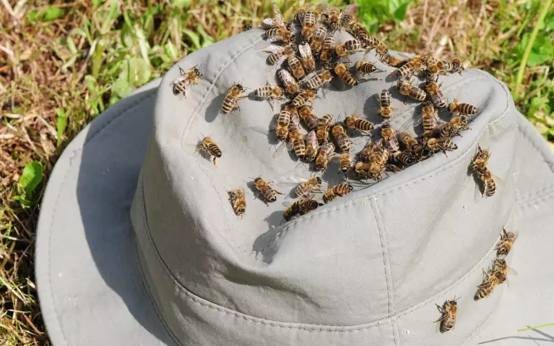 成功挽回老公的方法：在婚姻中遭遇到了背叛，该原谅对方吗？