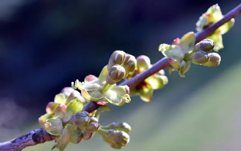 挽回爱情方法：挽回男朋友可行的方法