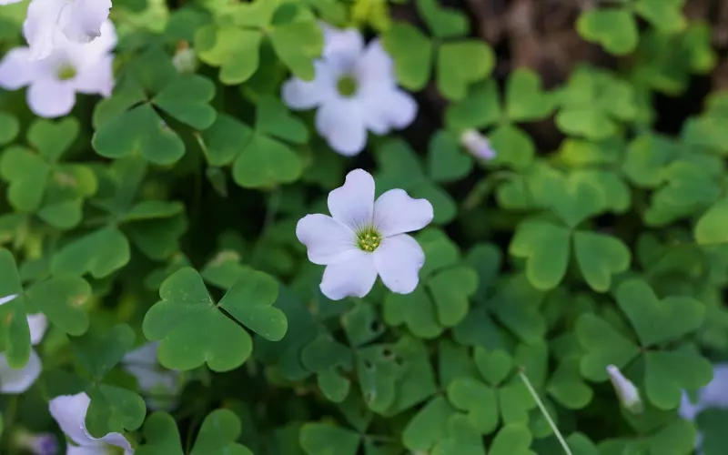 挽回男朋友途径：分手后挽回男友最简单的方法和技巧