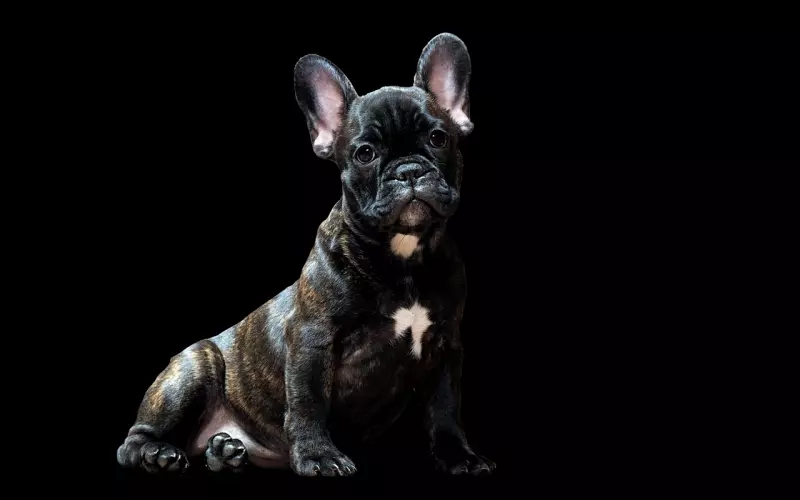 挽回男朋友的方法：聪明的女人是怎么挽回男友的？