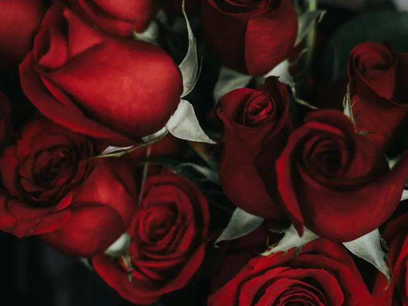 挽回男友方法：分手你这样挽回前男友的心