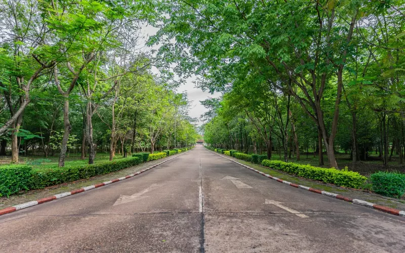 挽回女友的方法：学会这三招，挽回女友的爱