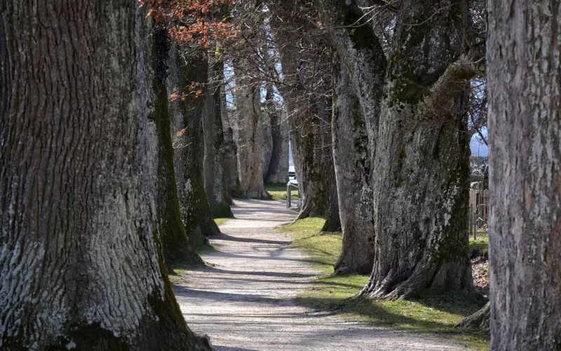 挽回老公的方法：教你快速有效的方法挽回老公，挽回家庭