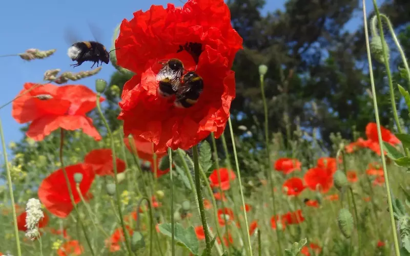 挽回老公的方法：婚姻中遭遇老公冷bl，教你这样解决！