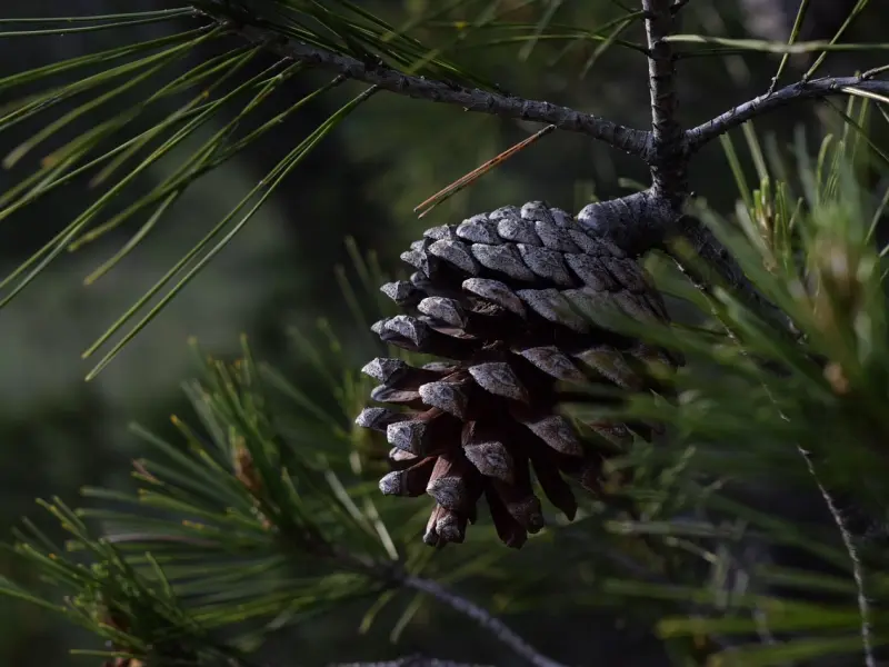 挽回老婆方法之怎么挽回变心老婆