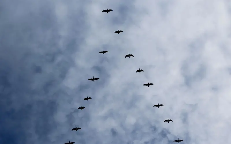 我们都需要一个知己！（深度好文）