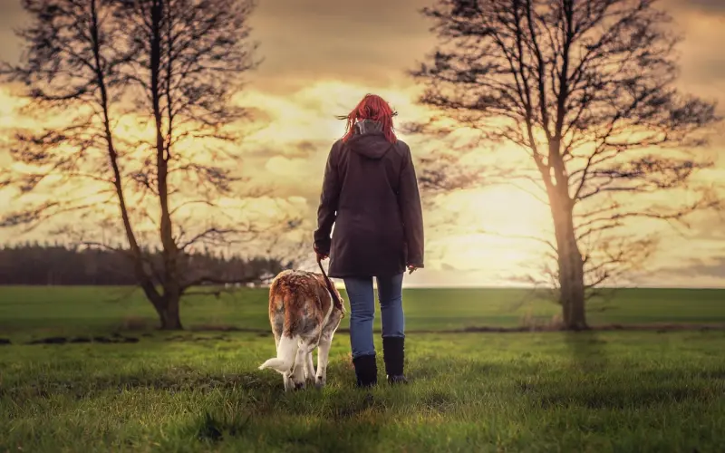 我们都要好好的（送给朋友圈）