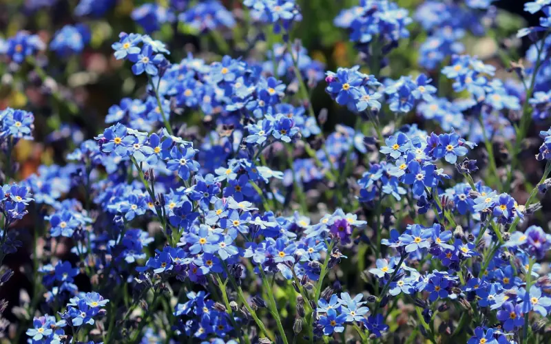 我们总以为来日方长，却忘了世事无常 !