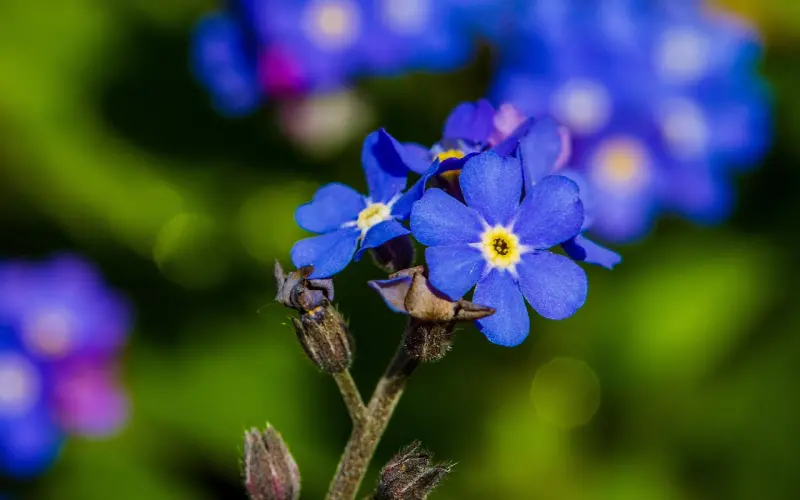 我们总以为来日方长，却忘了世事无常