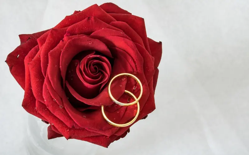 我们都在准备结婚，再也没时间谈恋爱