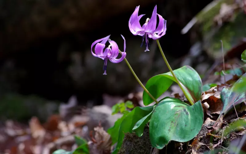 情感处在冷战期，要如何做才能挽回他的心？