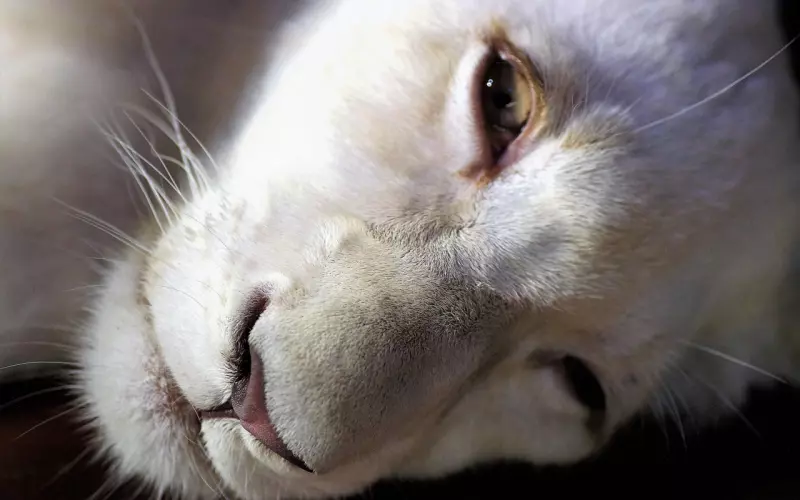 “我们都有家庭，但是相爱了，终于找到了一条好的退路”