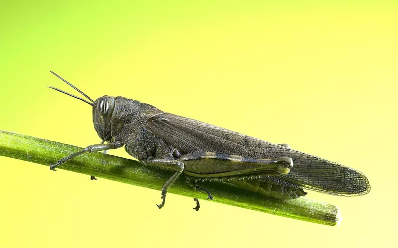 分手很久了还一直吵架 怎么挽回他