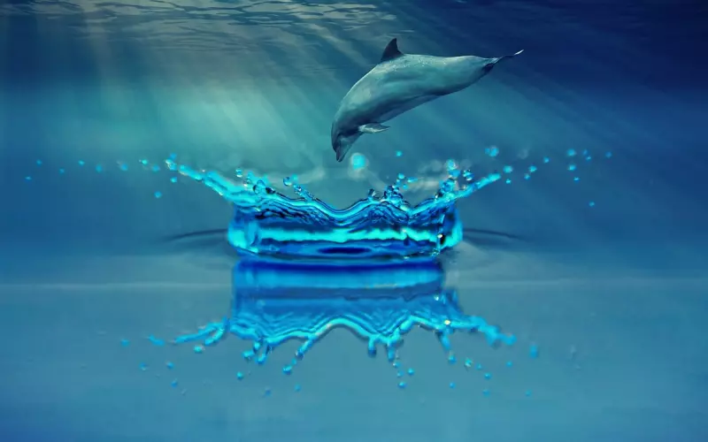 “我们感情浓度很深，他却在生日时找了个人妖……”