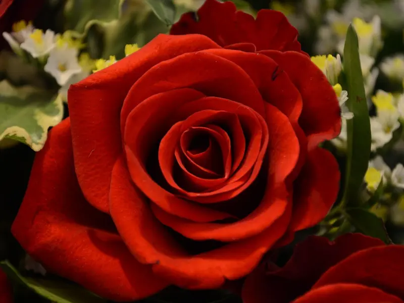 结婚两年没有共同语言还分房睡，不知道和他有没有感情？