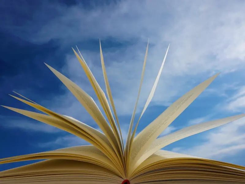 明明知道不能在一起，但无法放手，从未想过放弃