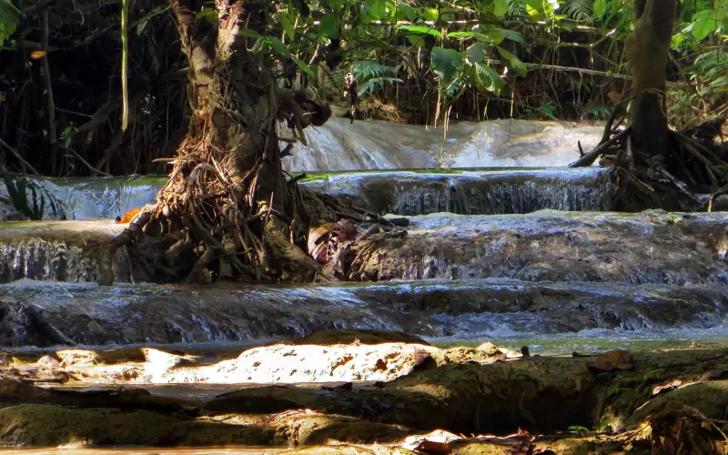 分手后断联了，如果你能这样渐入，很快会复联成功，甚至复合了