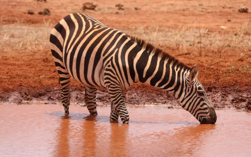 相亲认识 我和男友都对这份感情没有信心怎么办