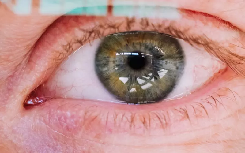 见面就吵架，我该如何挽回异地恋男友