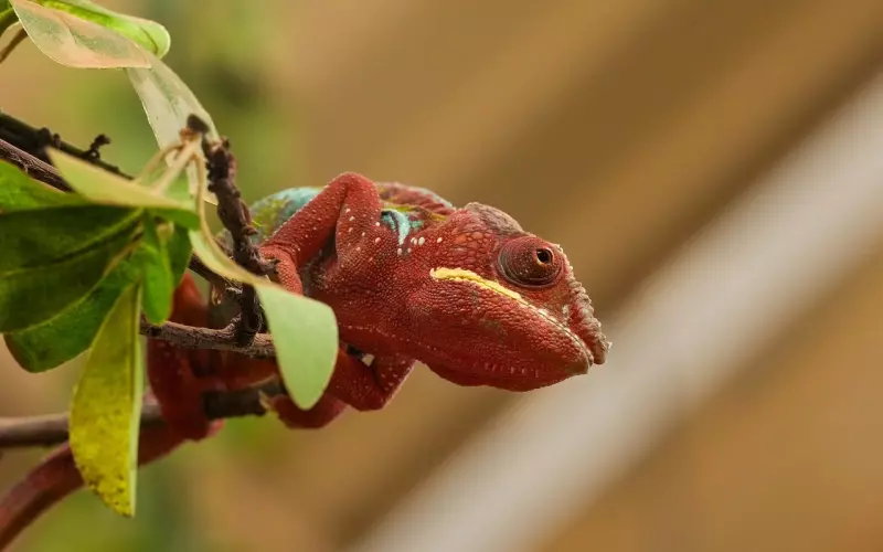 挽回爱情之微信聊天技巧（附详细干货攻略）