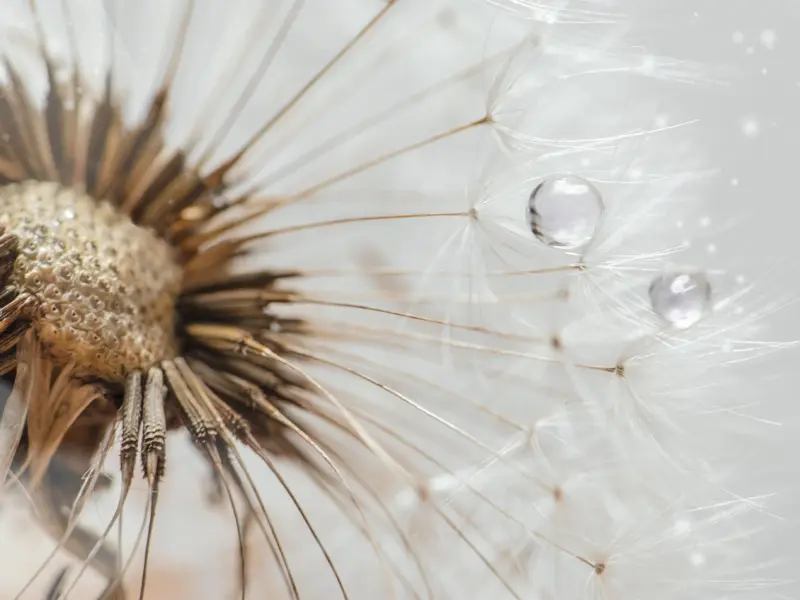 真正放下了一个男人，会有哪些反常表现