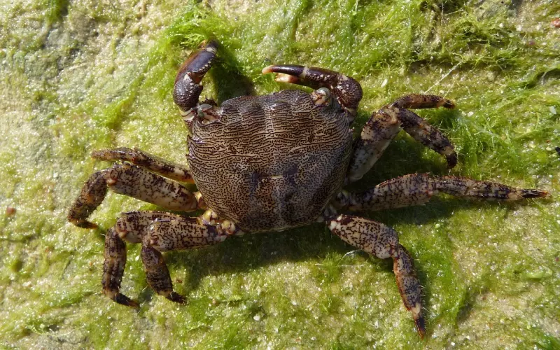 挽回巨蟹座男友呢？如何挽留男朋友，不分手？