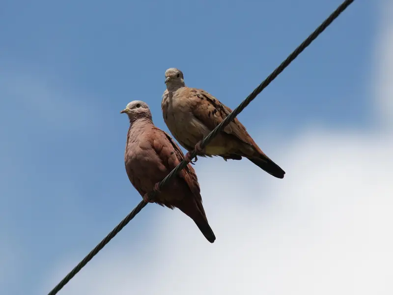 女生容易被什么感动