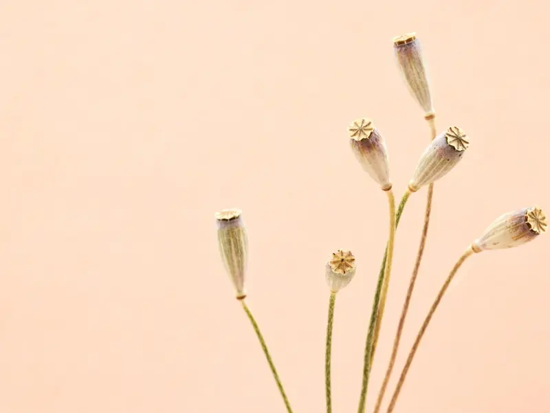 男人出轨后最怕什么？这招收拾他最爽！