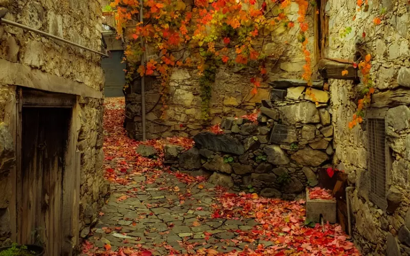 失恋后有哪些恢复心情的方法