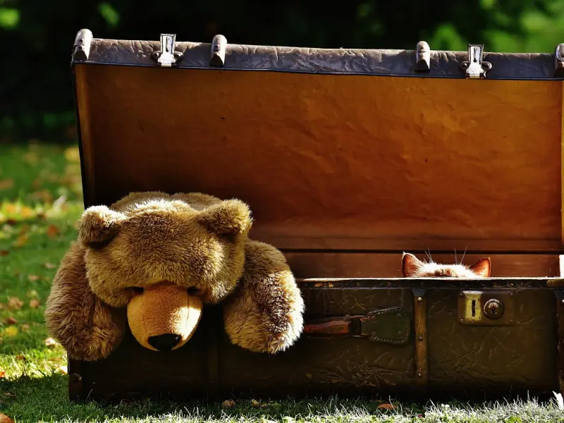 男人最忍受不了的女人这几种行为，你中了几种