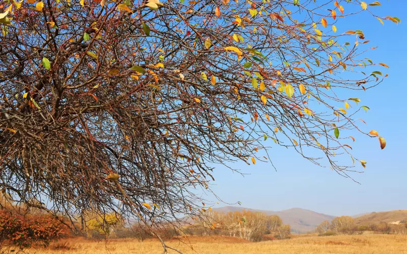 挽回爱情的分手方法有哪些(分手挽回难还是离婚挽回难)