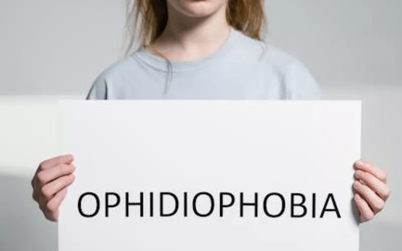 婚姻恐惧症有哪些表现(女性性恐惧症的症状表现形式)