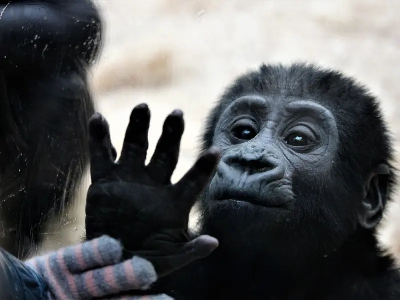 安慰失恋的人，该避免触碰哪几个雷区？