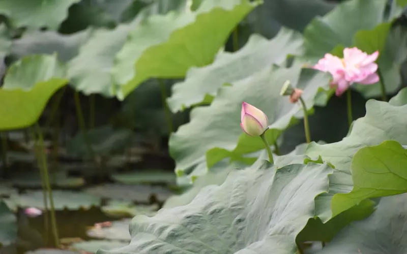 挽回男友的话怎么说才最有效