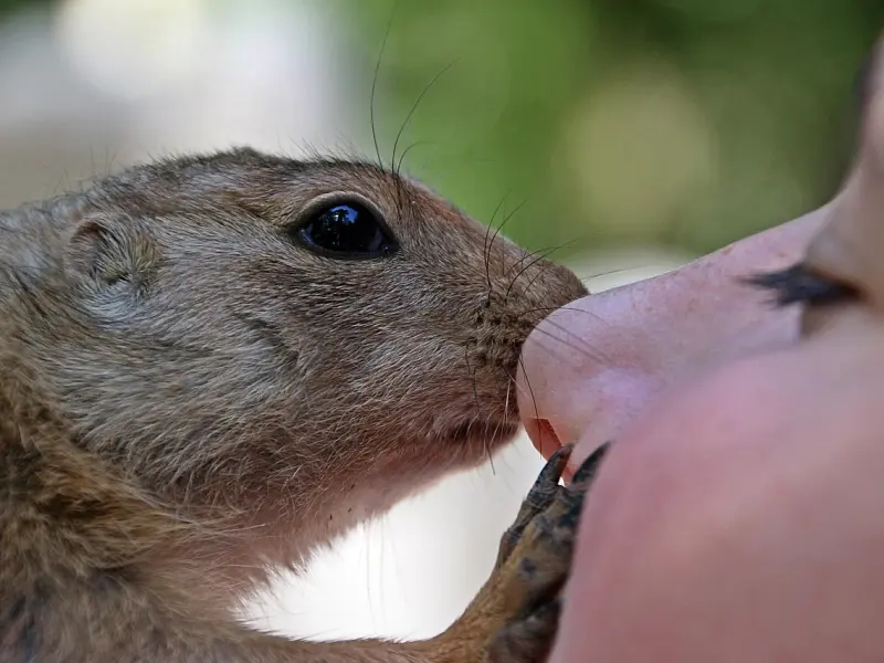 挽回感情男女之间最忌讳什么