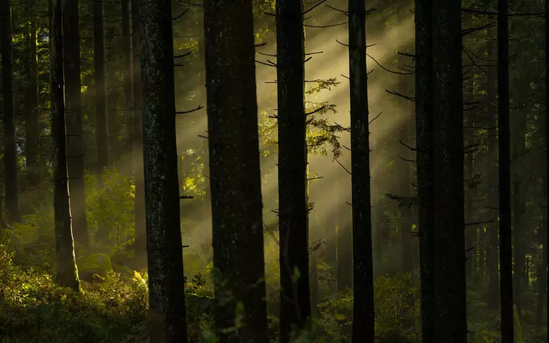 被拉黑后有哪些挽回技巧